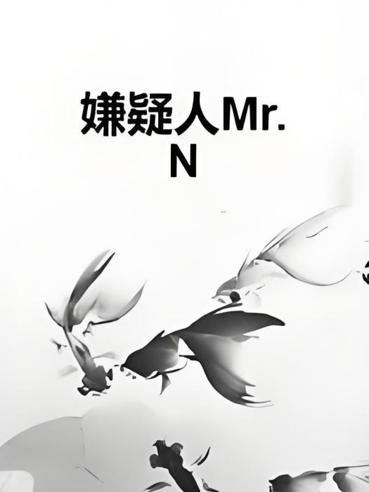 嫌疑人Mr.N 嫌疑人Mr.N