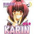 KARIN 增血鬼1 KARIN 增血鬼1