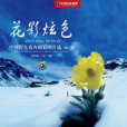 花影炫色 花影炫色