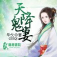 天降鬼妻 天降鬼妻