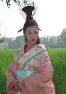 母儀天下(2008年黃健中執導電視劇)