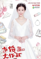 求婚大作戰(中國2017年張藝興、陳都靈主演電視劇)