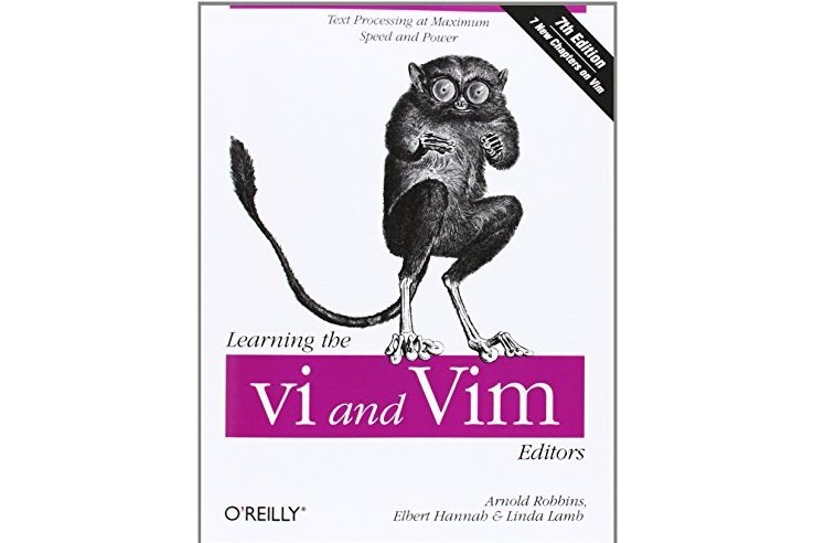 Learning the vi and Vim Editors