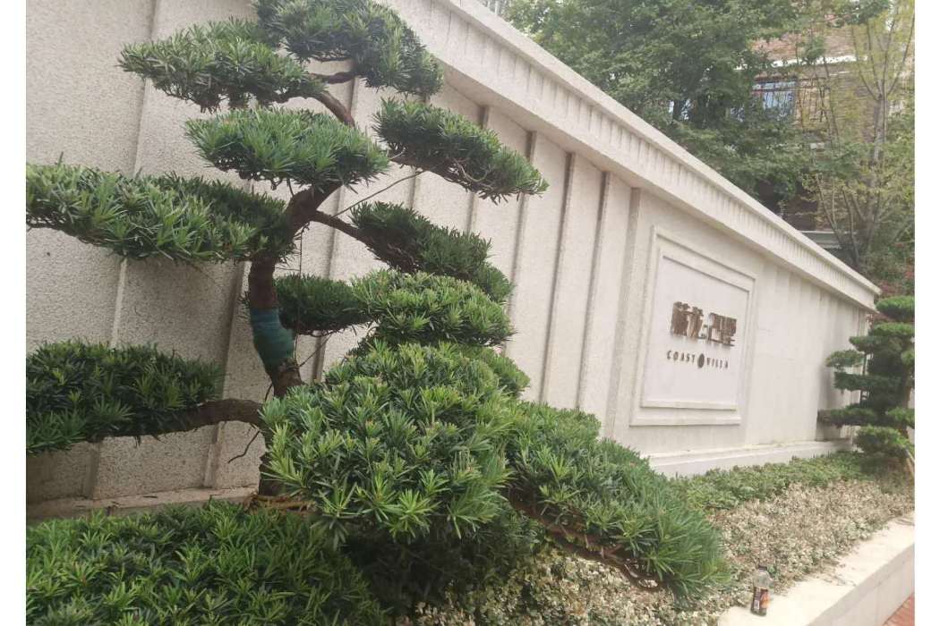 藏龍29墅 藏龍29墅