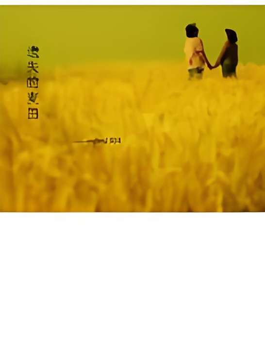 遺失的麥田 遺失的麥田