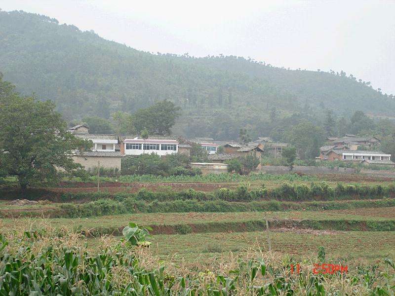 新以莊村 新以莊村