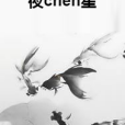 夜chen星 夜chen星