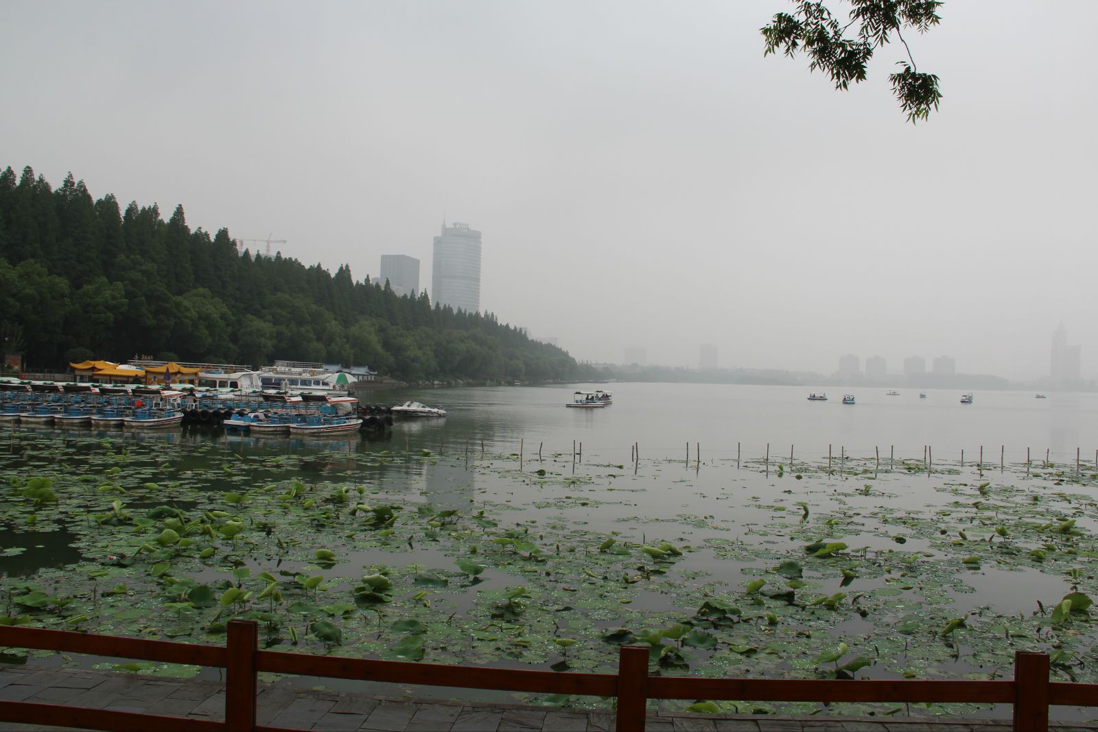 霧中玄武湖