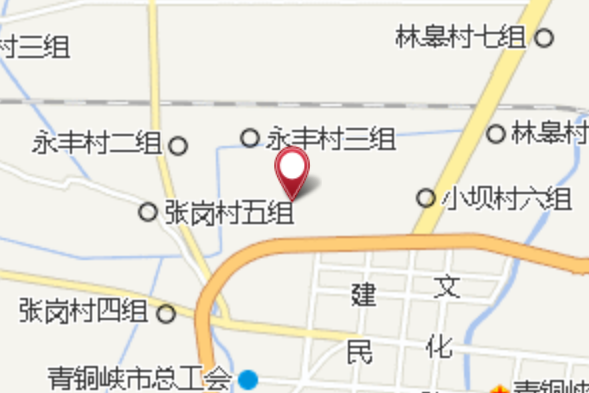 永豐村八隊 永豐村八隊