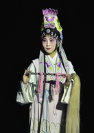 牡丹亭(白先勇策劃、2004年首演青春版牡丹亭)