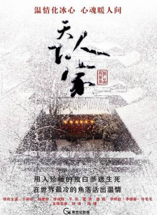 霍青(霍清)