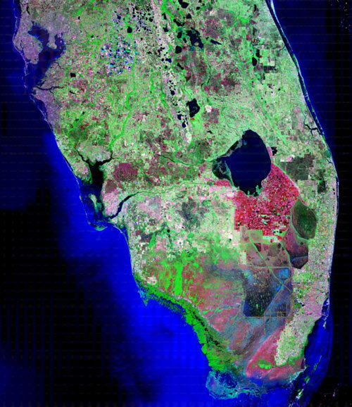 南佛羅里達濕地（分布圖）