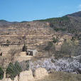 銅山鄉 銅山鄉