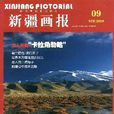 新疆畫報
