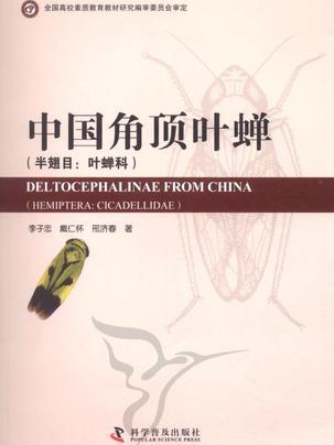 中國角頂葉蟬 中國角頂葉蟬