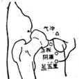 陰廉 陰廉