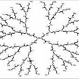 樹狀大分子