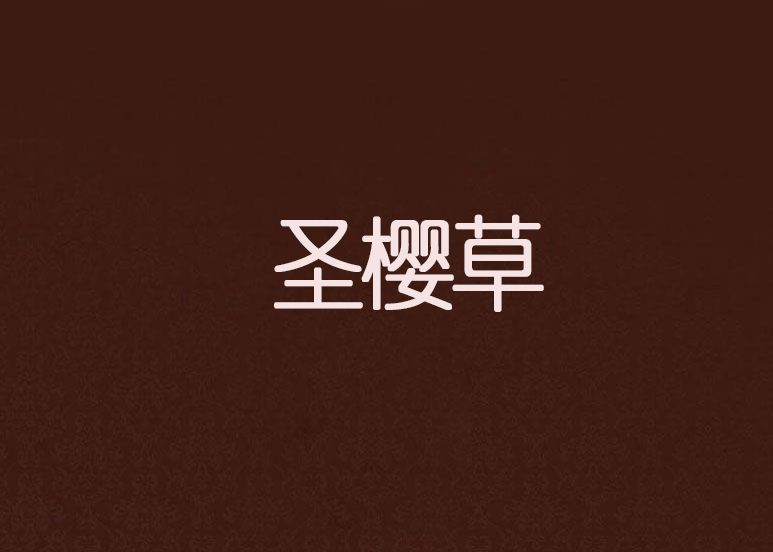 聖櫻草 聖櫻草