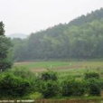 圍背村 圍背村