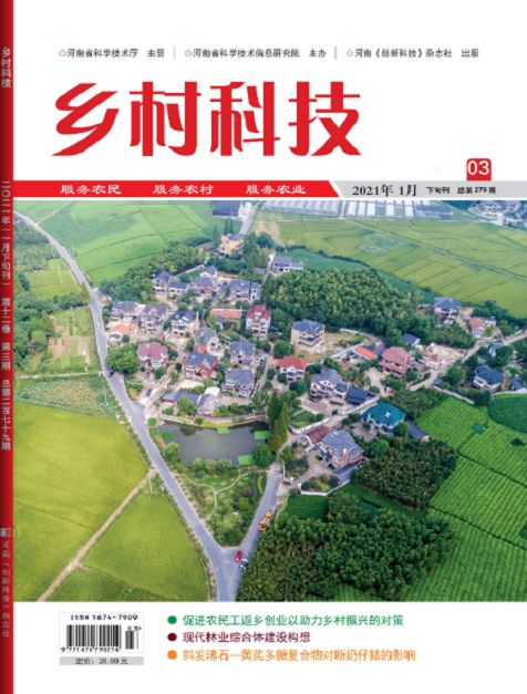 鄉村科技 鄉村科技