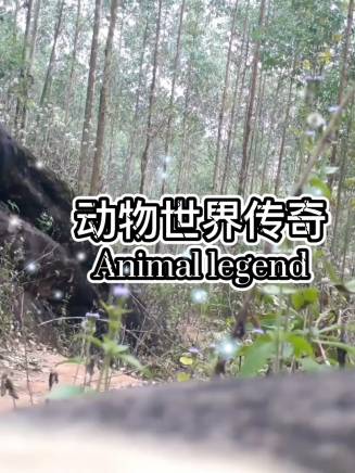 奚創萬