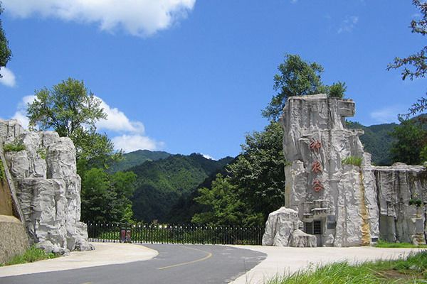 桃源洞(桃園洞(湖南省炎陵縣桃園洞)) 桃源洞(桃園洞(湖南省炎陵縣桃園洞))