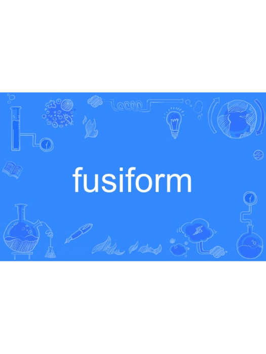 fusiform fusiform