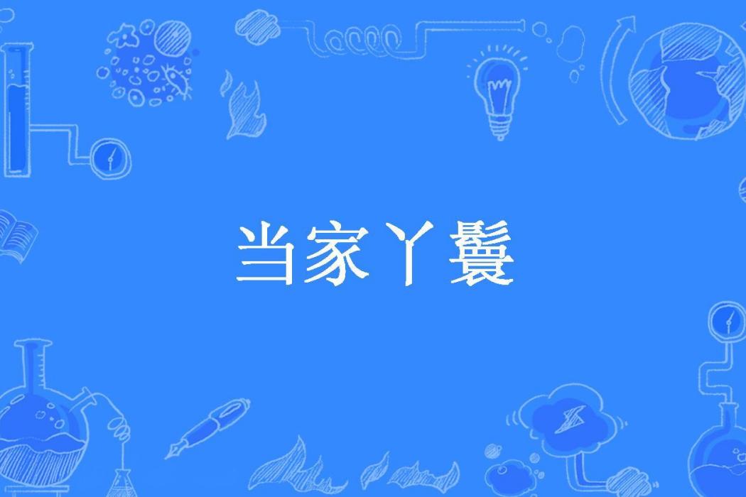 當家丫鬟(罐子01創作的古代言情小說)