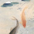 雙鯉 雙鯉