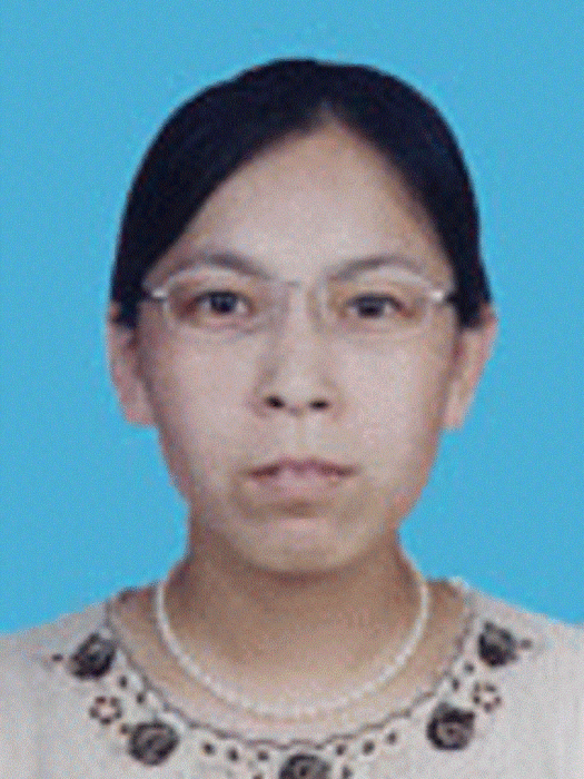 孫秀娟(延慶縣千家店鎮黨委宣傳委員) 孫秀娟(延慶縣千家店鎮黨委宣傳委員)