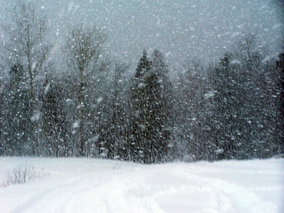 風雪(氣候) 風雪(氣候)