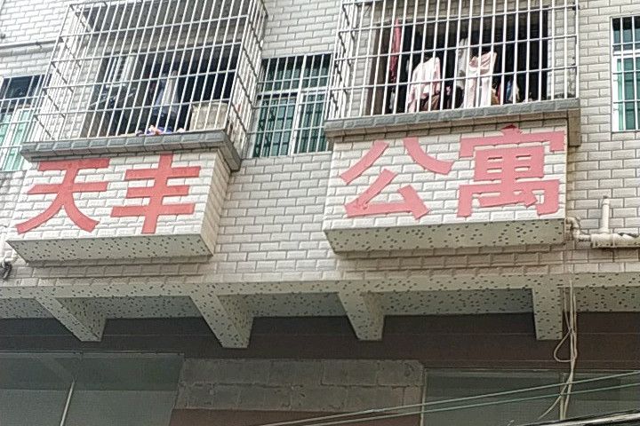 天豐公寓 天豐公寓