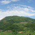 隴嶺村 隴嶺村