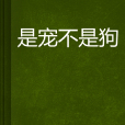是寵不是狗 是寵不是狗