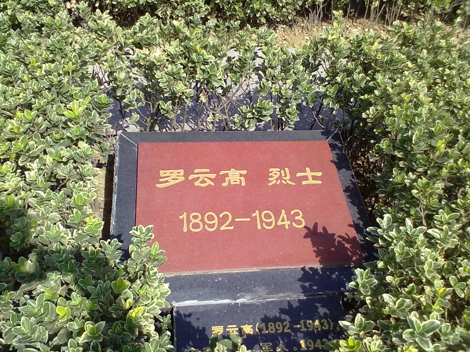 頭橋鄉賢羅雲高烈士墓被遷入揚州烈士陵園