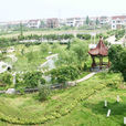 大廟周村 大廟周村