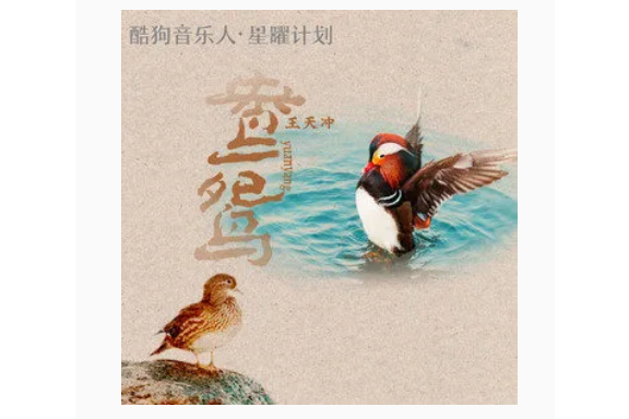 鴛鴦(2022年王天沖演唱歌曲) 鴛鴦(2022年王天沖演唱歌曲)