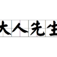 大人先生