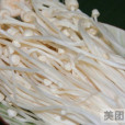翱翔山莊 翱翔山莊