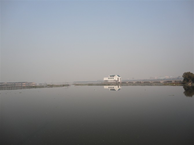 青甸湖