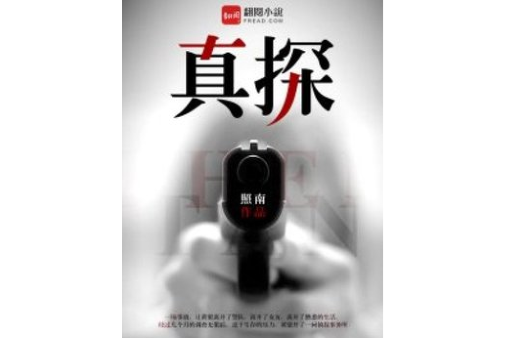 真探(照南所著小說) 真探(照南所著小說)