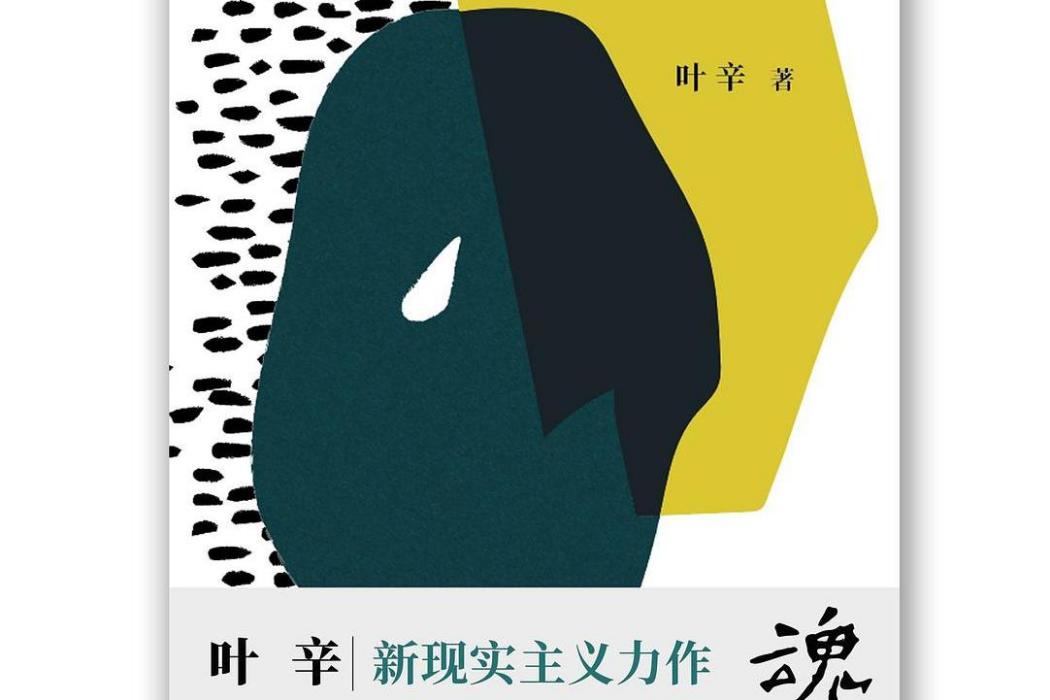 魂殤(2020年江蘇鳳凰文藝出版社出版的圖書) 魂殤(2020年江蘇鳳凰文藝出版社出版的圖書)