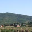 耗子山村 耗子山村
