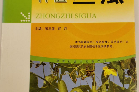 種植絲瓜 種植絲瓜