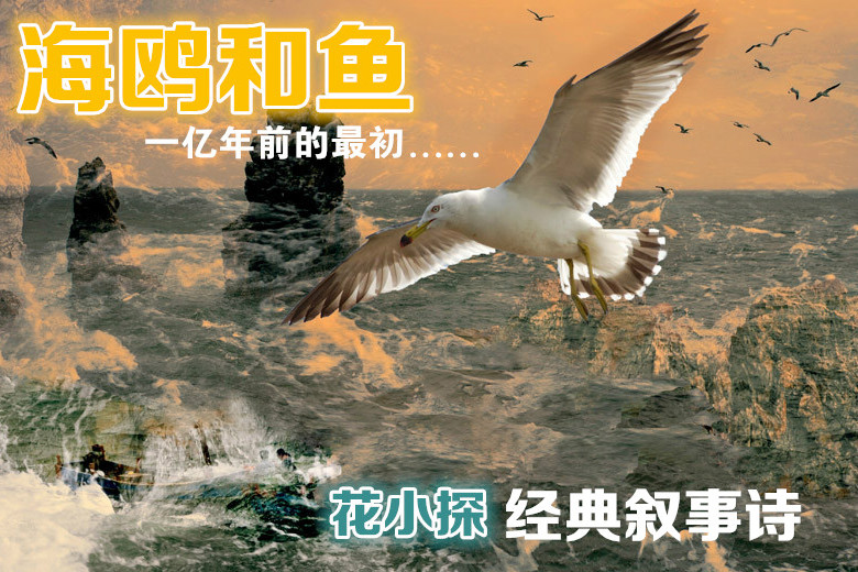 海鷗和魚 海鷗和魚