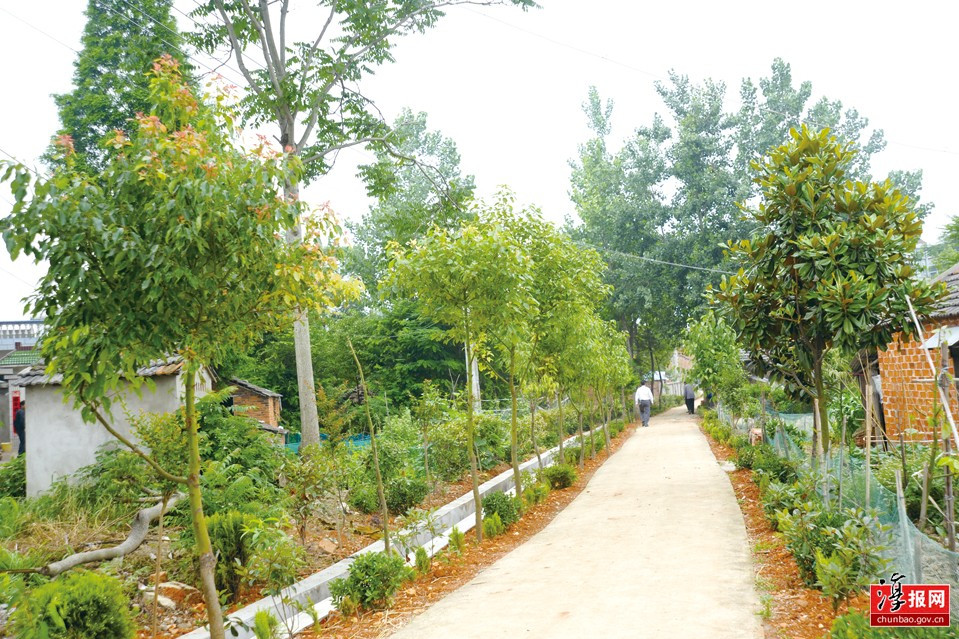 木樨村(貴州省畢節市七星關區八寨鎮下轄村) 木樨村(貴州省畢節市七星關區八寨鎮下轄村)