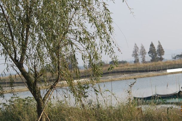秦仙圩 秦仙圩