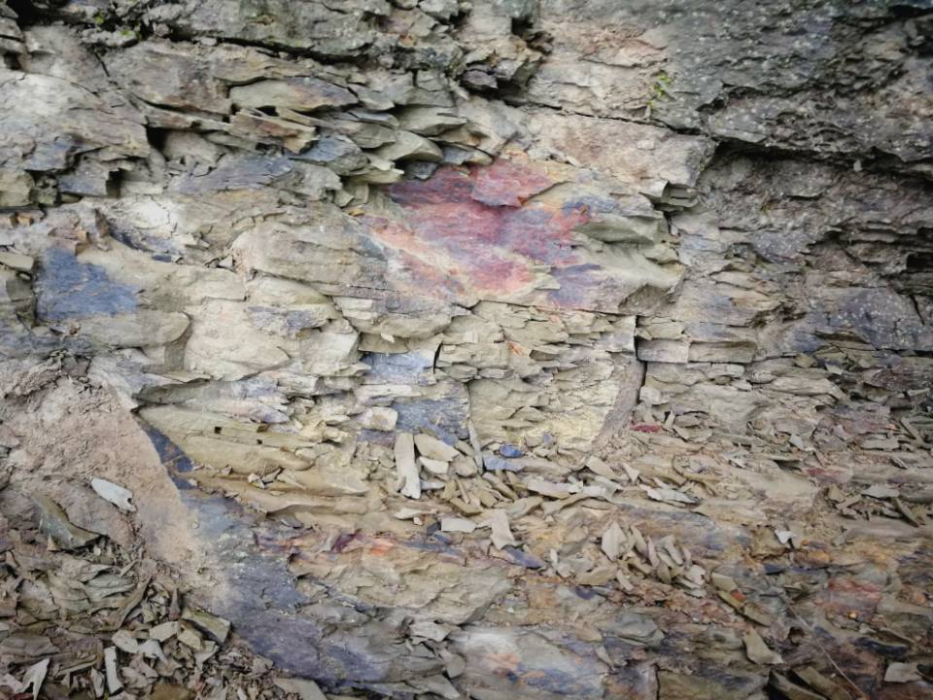 湄潭組 湄潭組