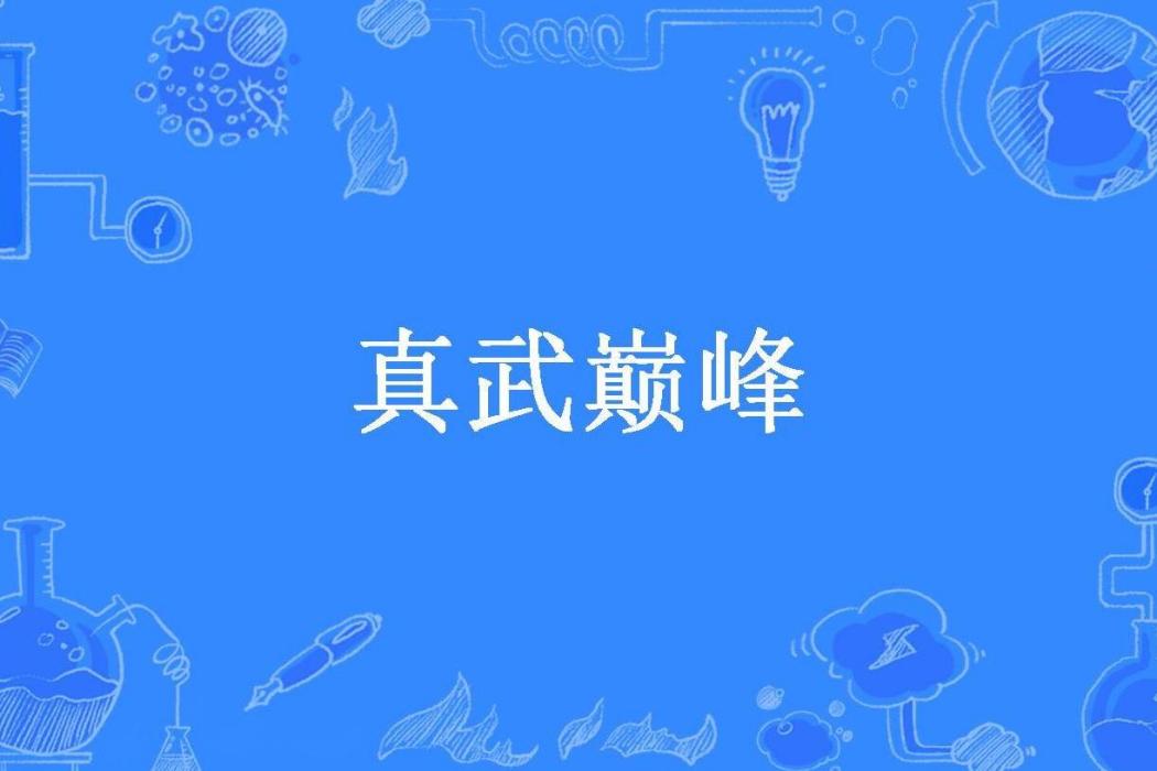 真武巔峰(江躍所著小說) 真武巔峰(江躍所著小說)