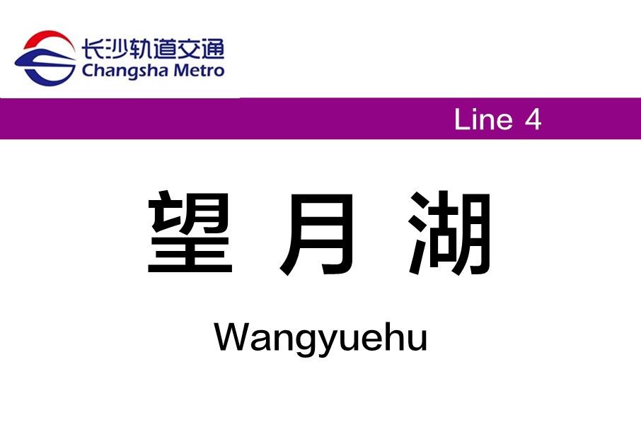 望月湖站 望月湖站